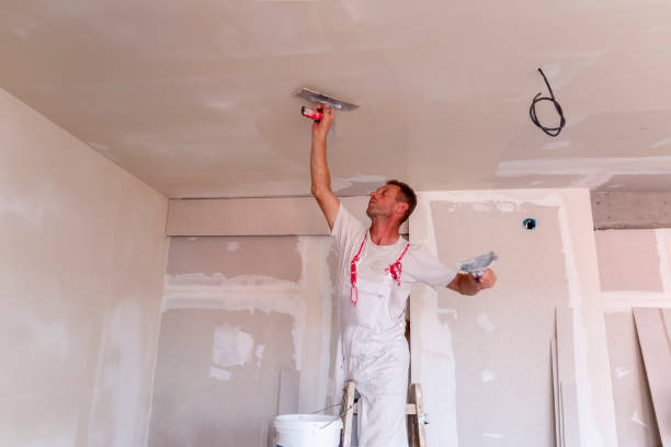 Wallpaper Removal and Painting in Heritage Lake, IL